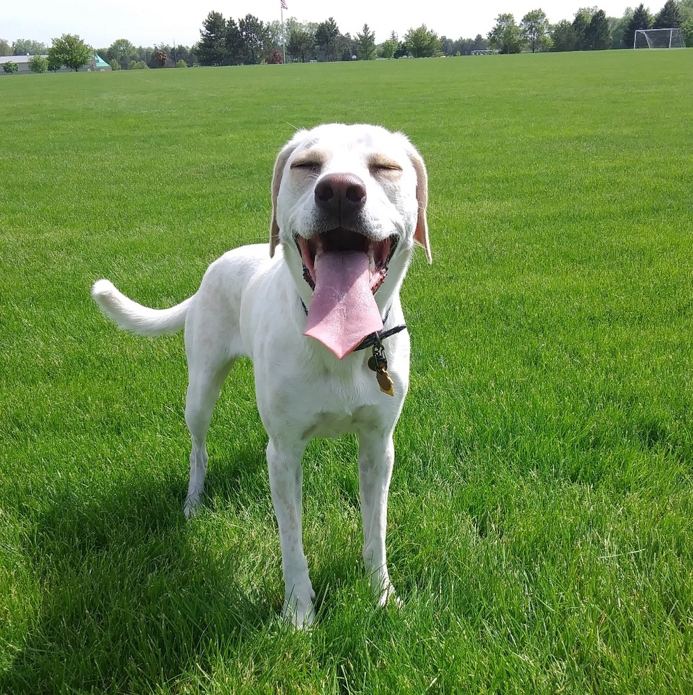 Meet your Posher, Tiffany